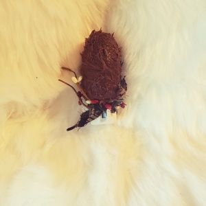 Cinnamon silicone night light